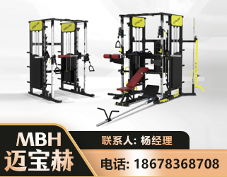 呼伦贝尔多功能综合训练器