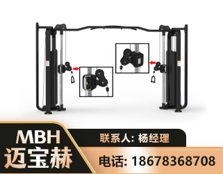 呼伦贝尔大飞鸟训练器
