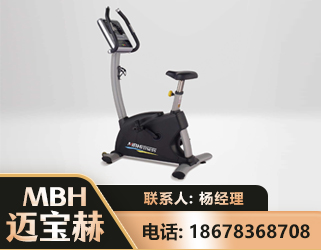 呼伦贝尔立式健身车